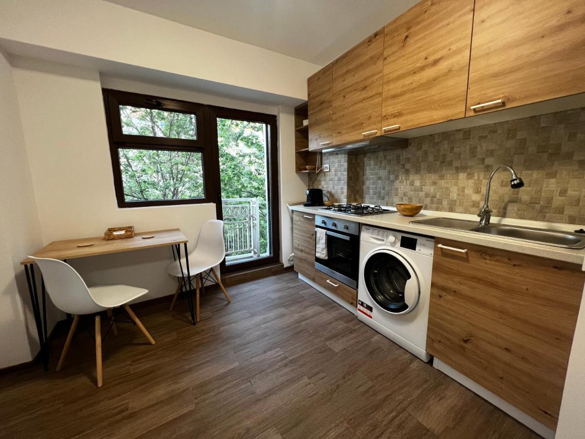 Central Studio Apartment Bucharest Luaran gambar